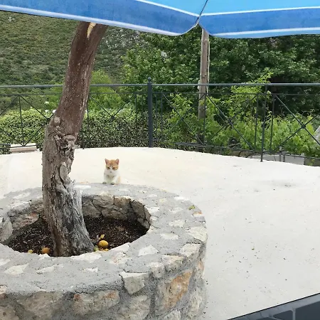 Eugenies Hébergement de vacances *